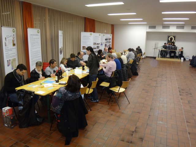 Ecole Commerce Section Sociale Sierre